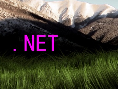 .NET