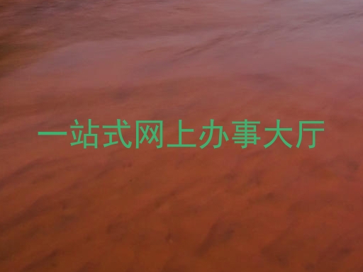 一站式网上办事大厅