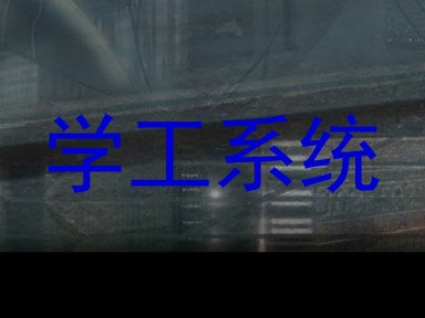 学工系统