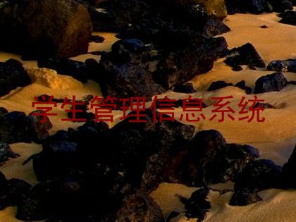 学生管理信息系统