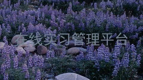 在线实习管理平台