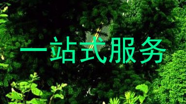 一站式服务