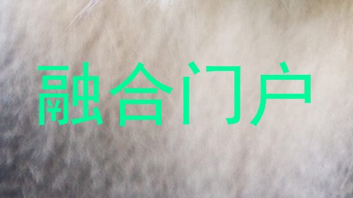 融合门户