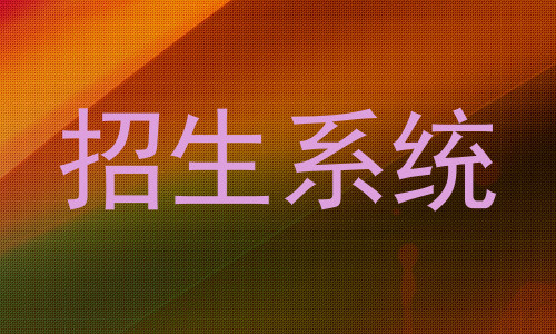 招生系统