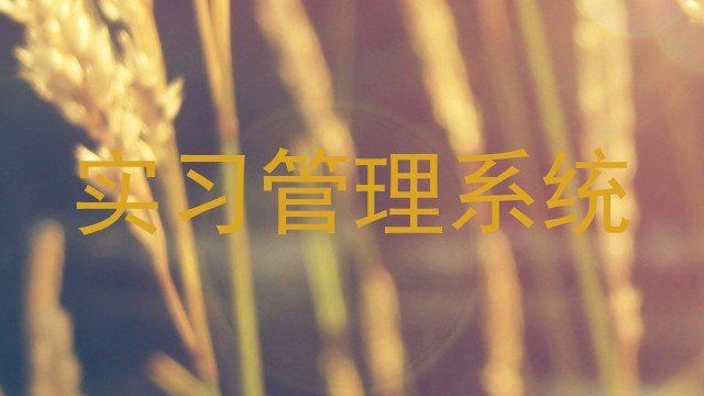 实习管理系统