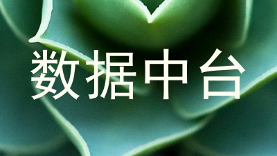 数据中台
