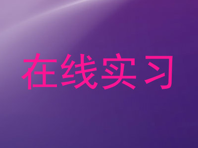 在线实习