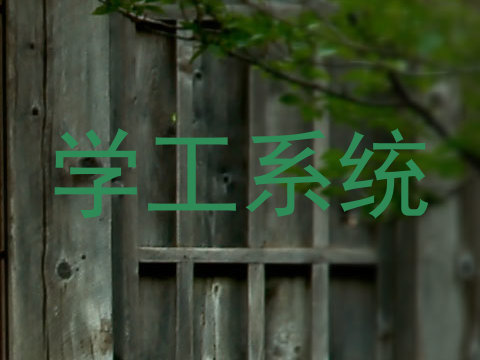 学工系统