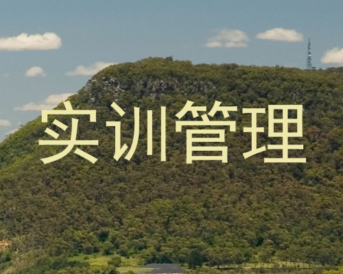实训管理