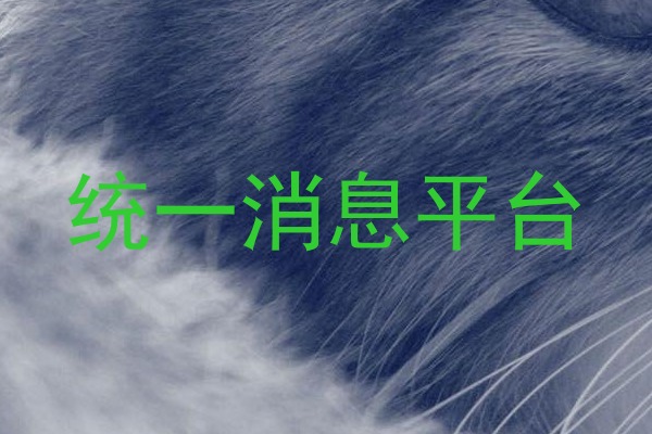 统一消息平台
