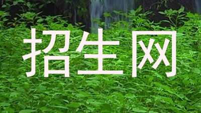 招生网