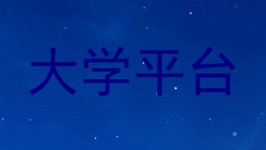 大学平台