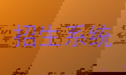 招生系统