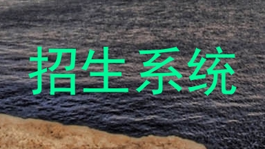 招生系统