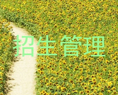招生管理