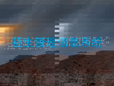 招生管理信息系统