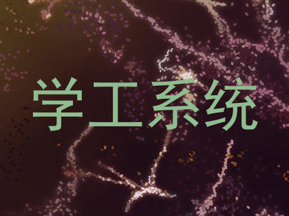 学工系统