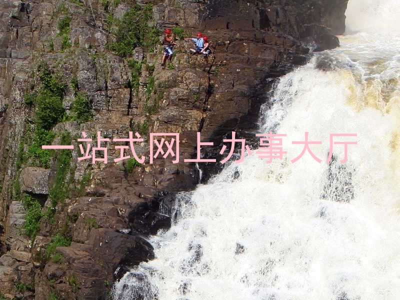 一站式网上办事大厅