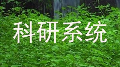 科研系统
