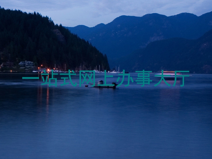 一站式网上办事大厅