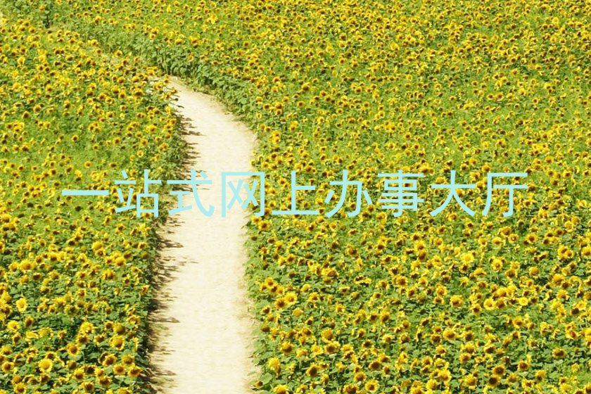 一站式网上办事大厅