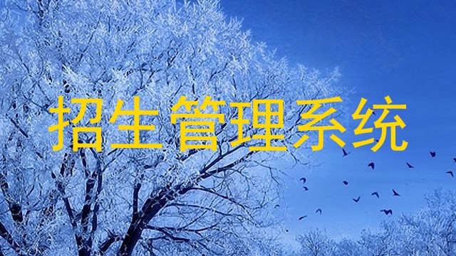 招生管理系统