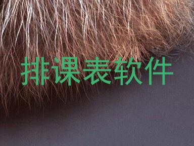 排课表软件