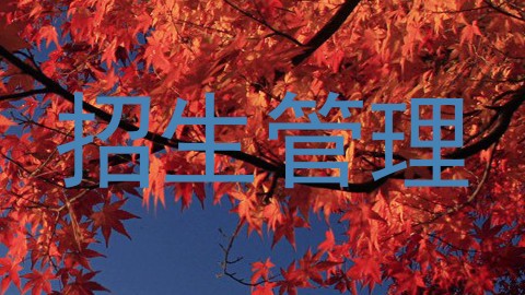 招生管理