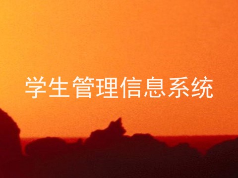 学生管理信息系统