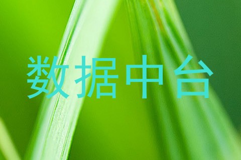 数据中台