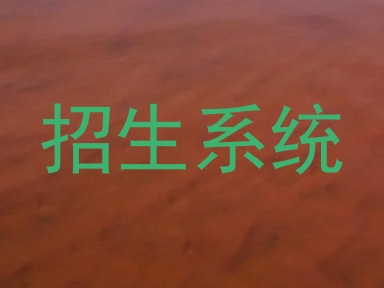 招生系统