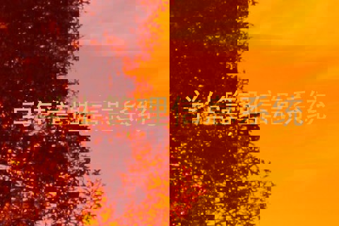 学生管理信息系统