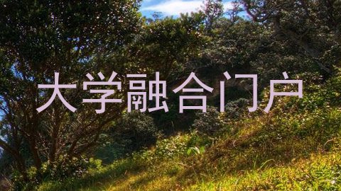 大学融合门户
