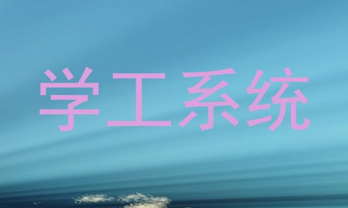 学工系统