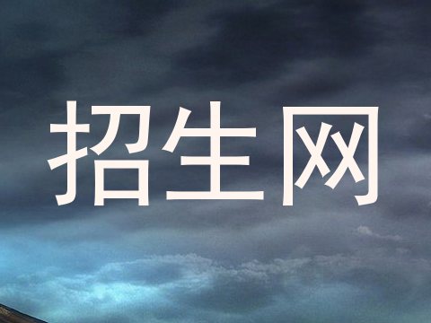 招生网