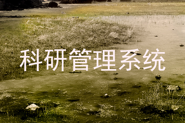科研管理系统