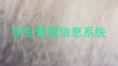 学生管理信息系统