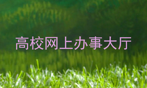 高校网上办事大厅