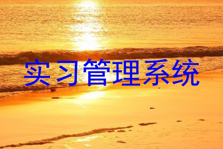 实习管理系统