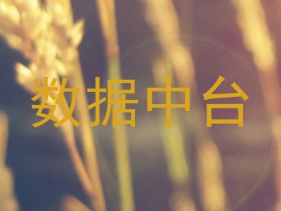 数据中台