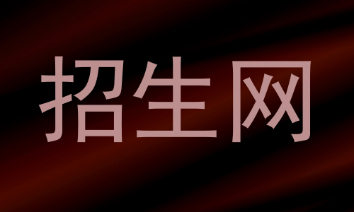 招生网