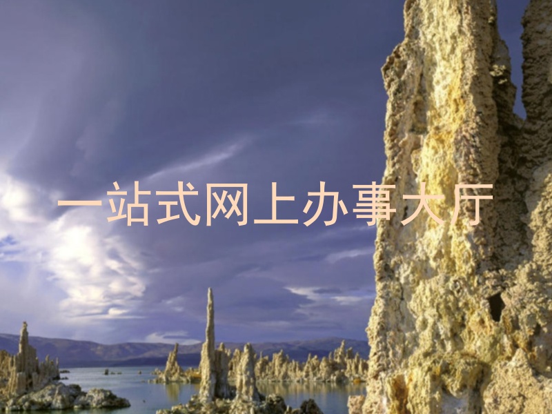 一站式网上办事大厅