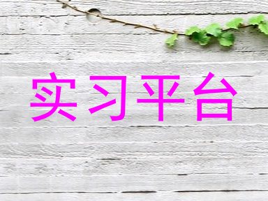 实习平台