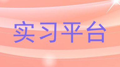 实习平台