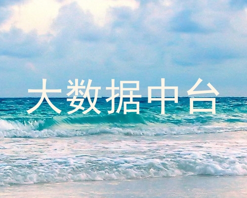 大数据中台