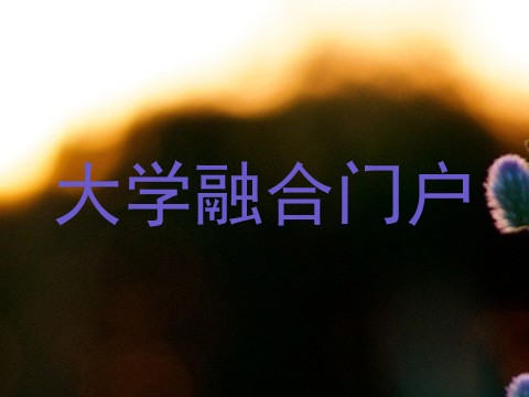 大学融合门户