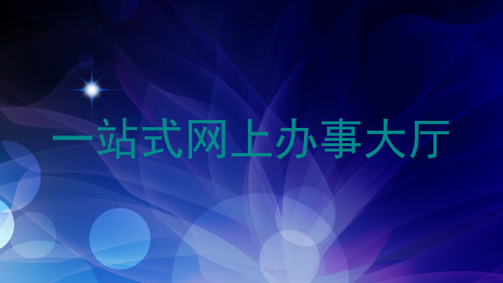 一站式网上办事大厅