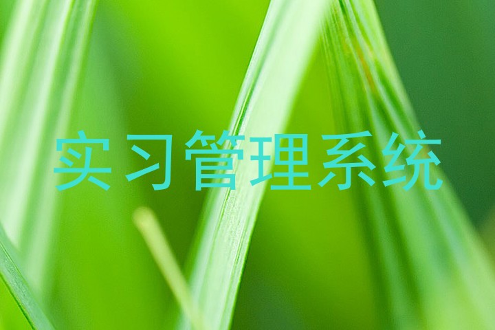 实习管理系统