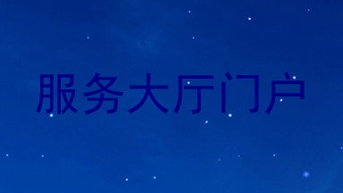 服务大厅门户