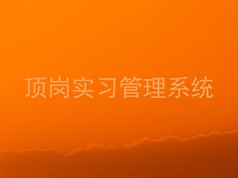 顶岗实习管理系统